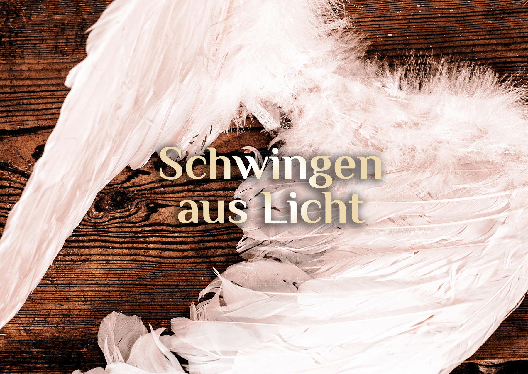 Schwingen aus Licht 🦋 Mein Leben in Sicht