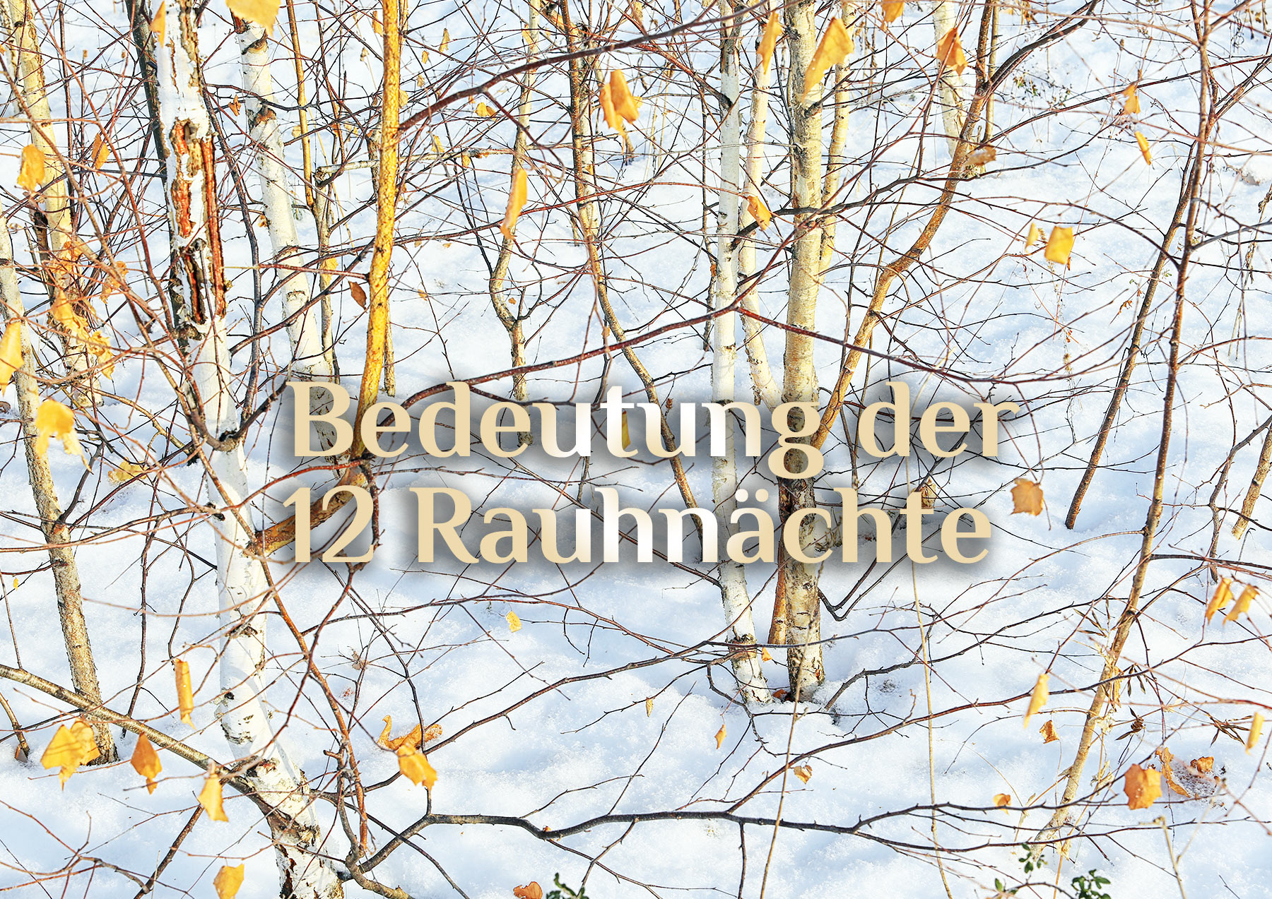 Elementare Rauhnächte ❄️ Bedeutung der Rauhnächte ❄️ Die 12 Raunächte