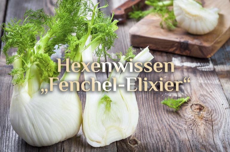 Fenchel-Elixier 🍵 Kräuter-Elixier „Besser Magen“ 🍵 Rezept Fenchel-Anis-Kümmel-Elixier