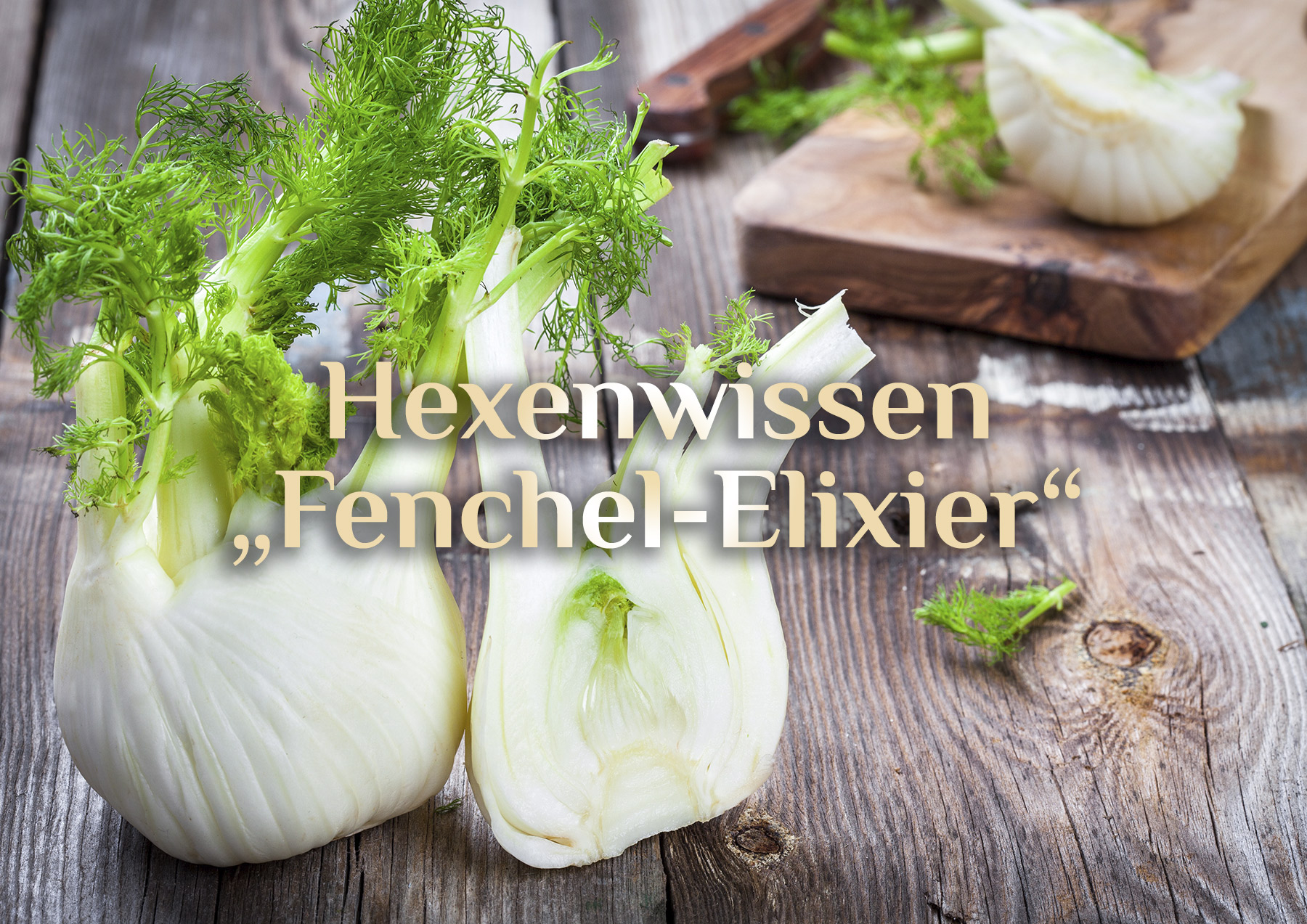 Fenchel-Elixier 🍵 Kräuter-Elixier „Besser Magen“ 🍵 Rezept Fenchel-Anis-Kümmel-Elixier