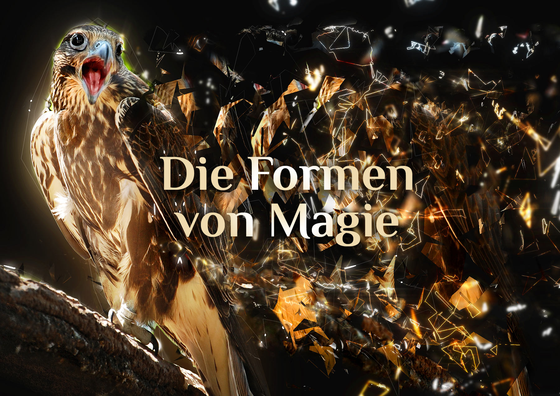 Die verschiedenen Magie-Arten 🌱🔥💨💦✨ Elementare Übersicht