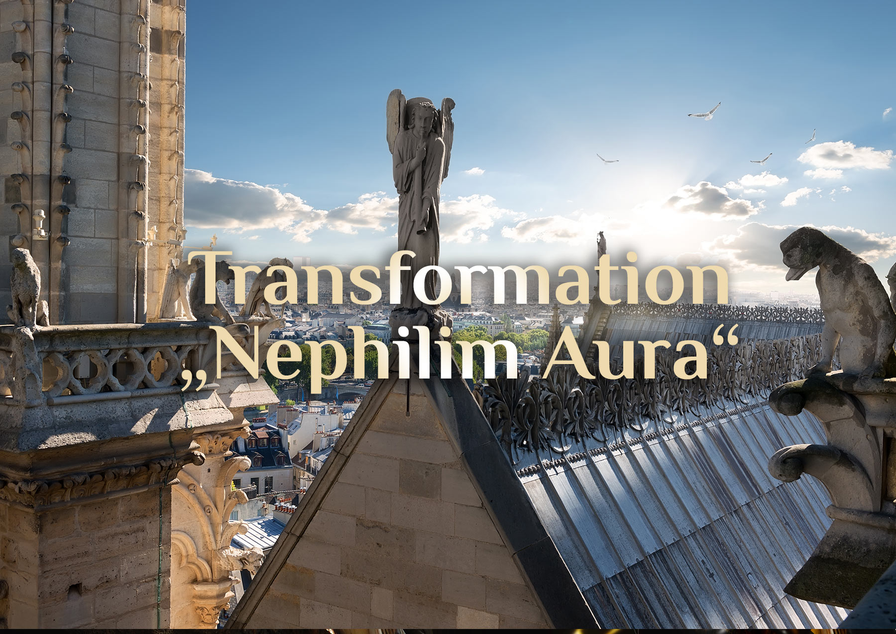 Elementare Nephilim-Theorie 👼🏻 Transformation der Aura