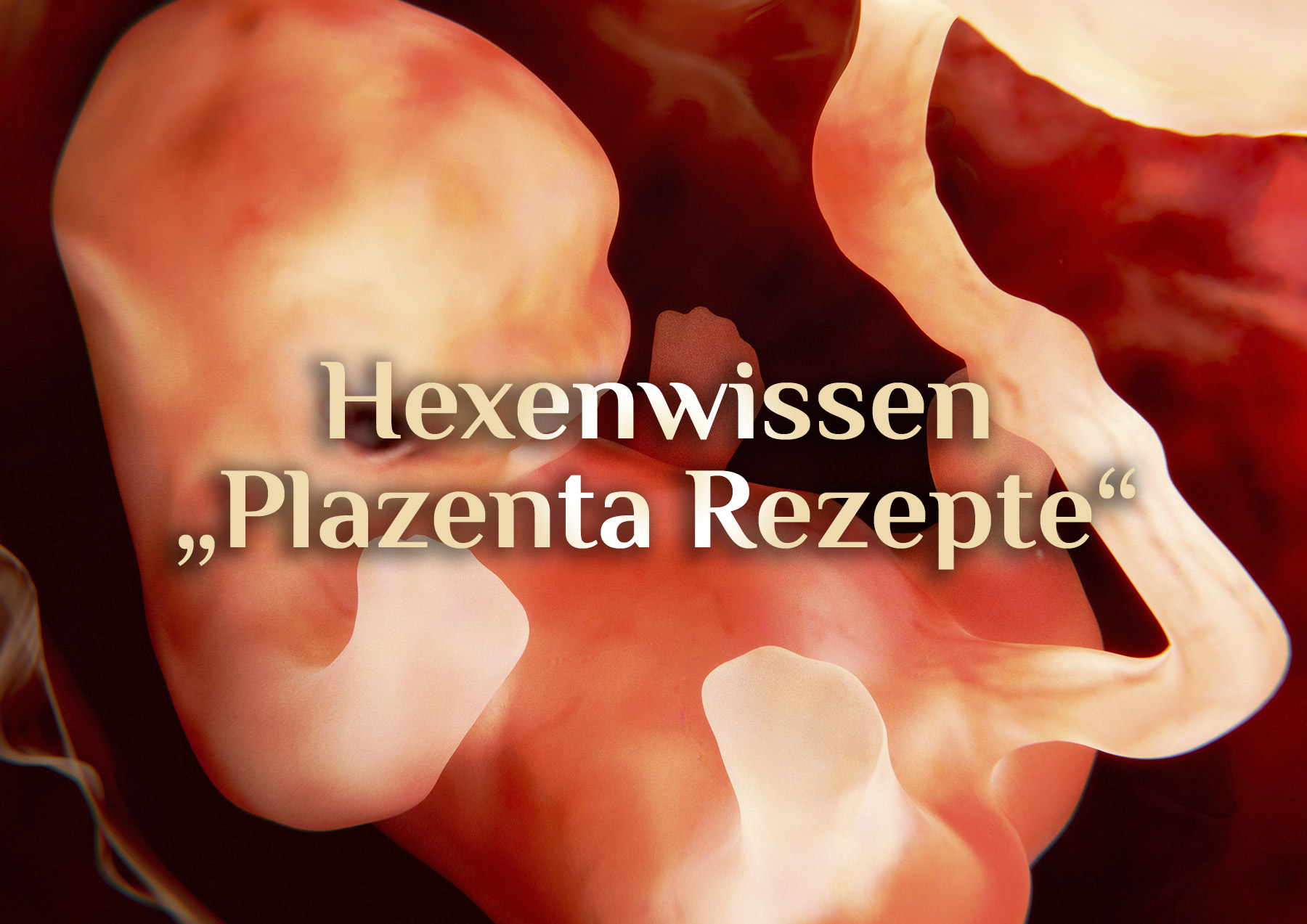 Die Plazenta 👼🏻 Elementare Plazenta-Rezepte 👼🏻 Was tun mit der Plazenta?