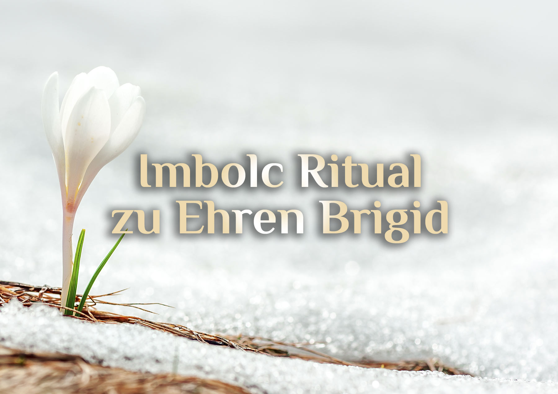 Elementares Imbolc Ritual ❄️ Imbol magisch feiern ❄️ Ritual zum Imbolc Fest