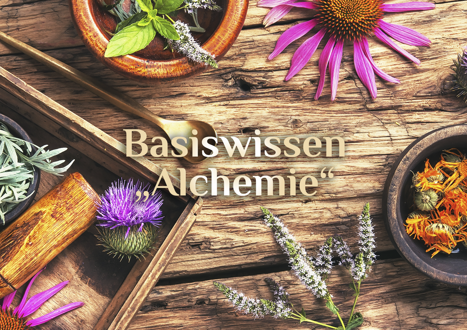 Elementare Alchemie ♨️ Basiswissen Alchemie ♨️ Transmutation und Alchemie