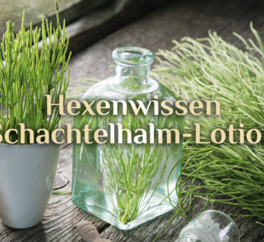 Schachtelhalm Haut-Lotion 🌿 Rezept Schachtelhalmlotion 🌿 Hexenwissen Schachtelhalm
