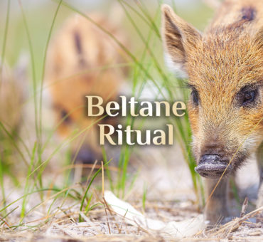 Beltane Ritual 🌞 Ritual zu Beltane 🌞 Beltaine  01. Mai