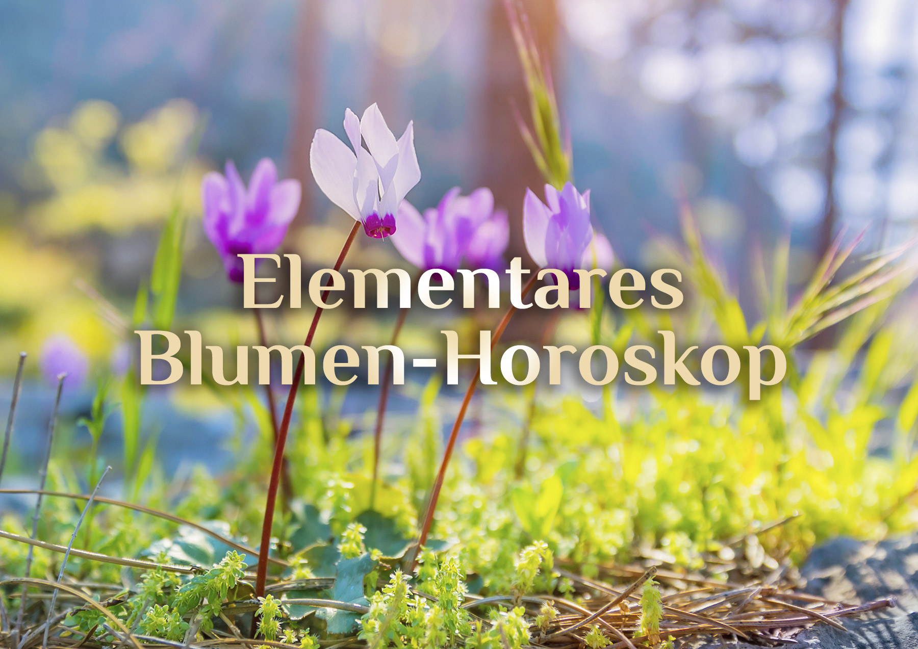 Blumen Horoskop 🌼 Horoskop der Blumen 🌹 Blumenhoroskop 🌷