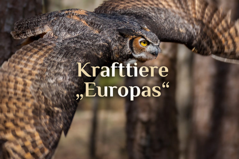 Elementares Krafttier Alphabet (Europa)