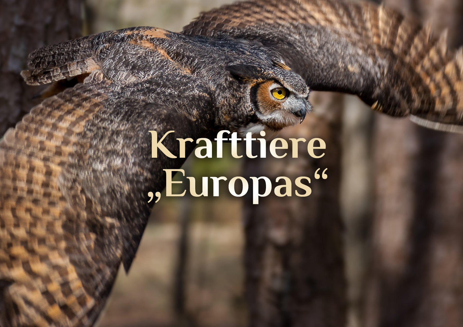 Elementares Krafttier Alphabet (Europa)