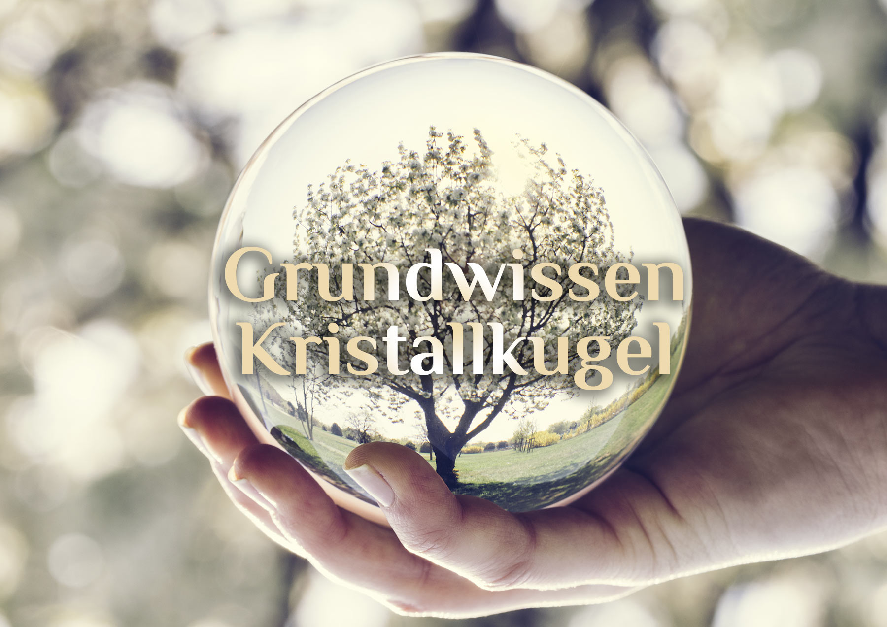 Kristalllesen erlernen 🔮 Kristallkugel lesen 🔮 Hellsehen in der Kristallkugel