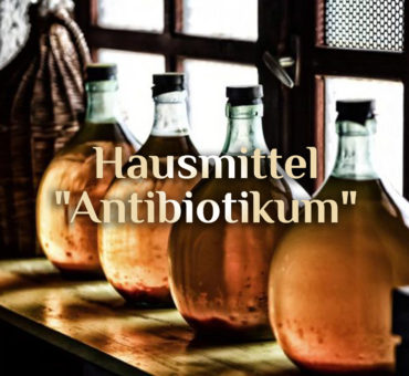 Natürlich gesund 🌿 „natürliches Antibiotikum“ 🌿 Hausmittel als Heilmittel