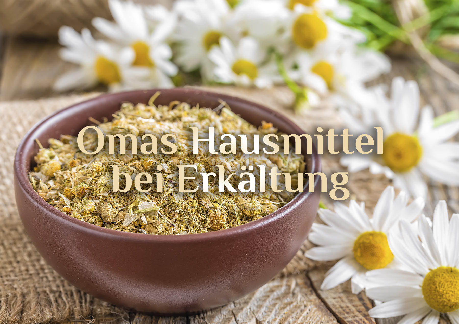 Fünf Hausmittel bei Erkältung 🌿 Hausmittel “schnellen Gesundung” 🌿 Hexen Hausmittel