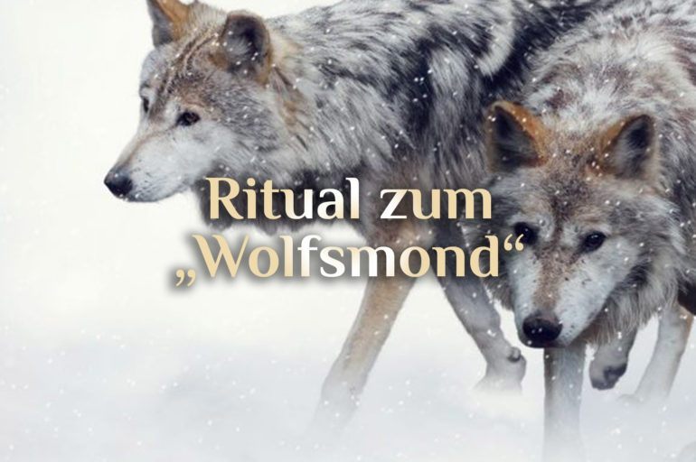 Wolfsmond Ritual  🐺 Schutzritual 🌕 Wolfsrudel Ritual 🐺 Vollmond