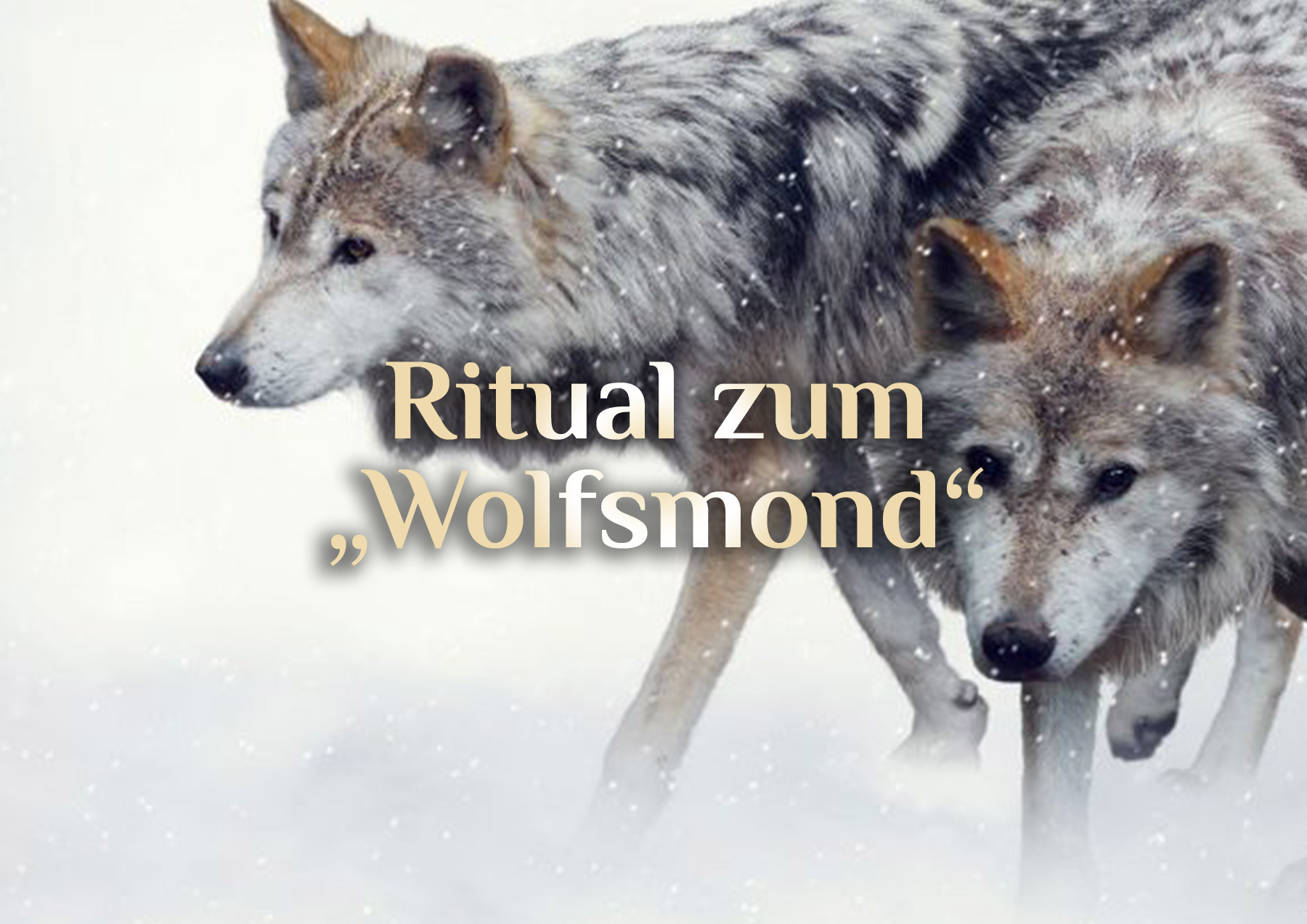 Wolfsmond Ritual  🐺 Schutzritual 🌕 Wolfsrudel Ritual 🐺 Vollmond