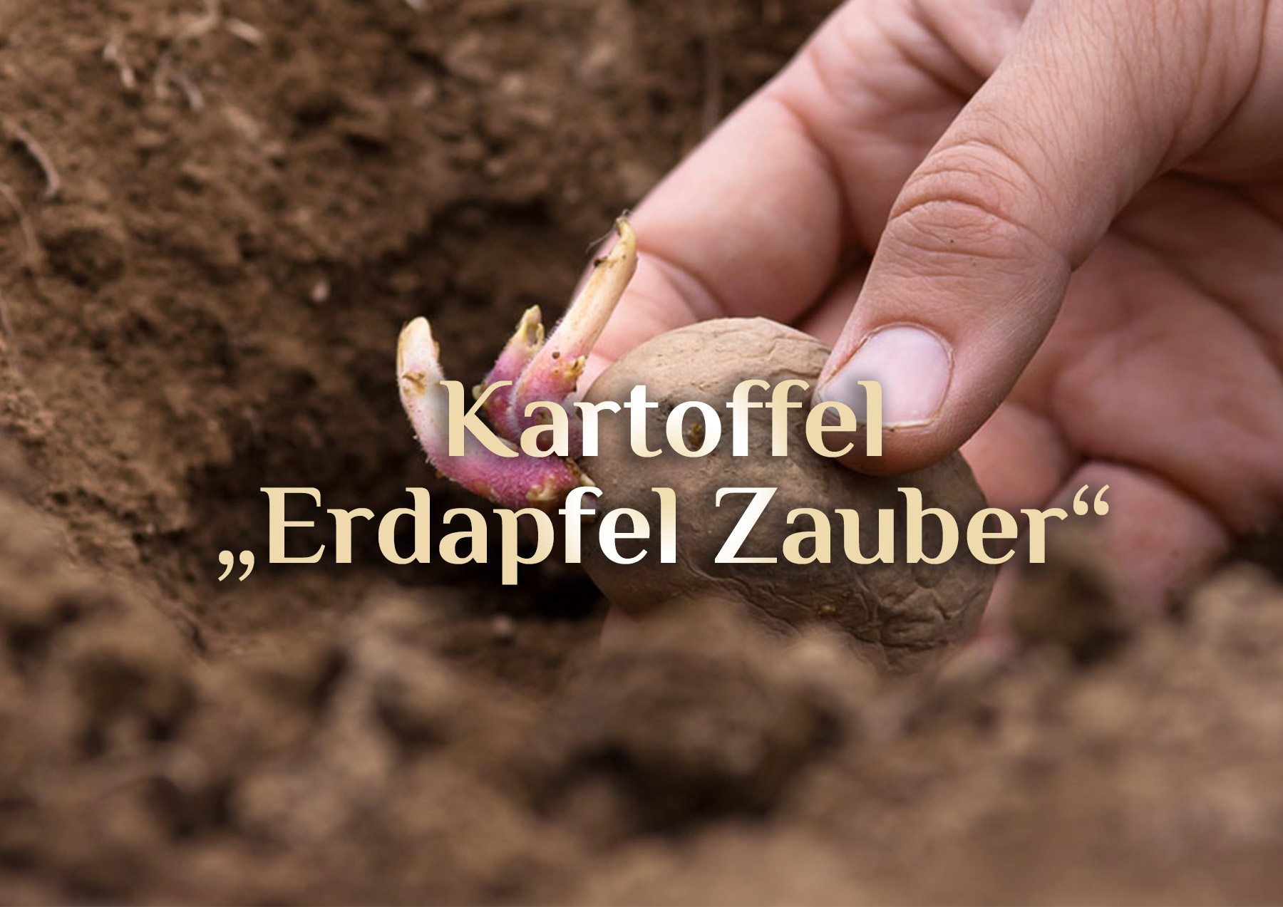 Kartoffel Zauber 🥔 Magische Kartoffel 🥔 Rituale rund um den Erdapfel