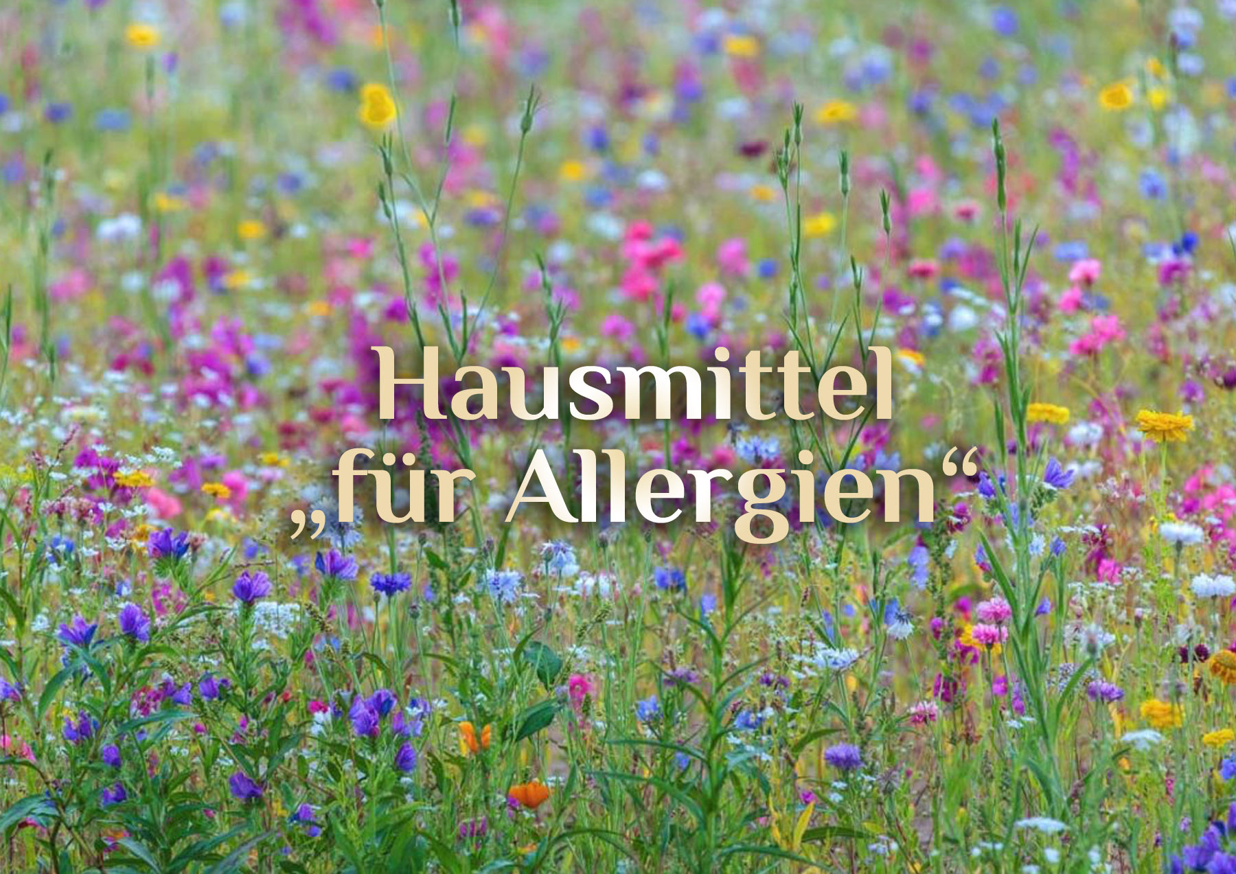 Allergie behandeln 💐 natürliche Hilfsmittel bei Allergie 💐 natürliche Mittel gegen Allergie