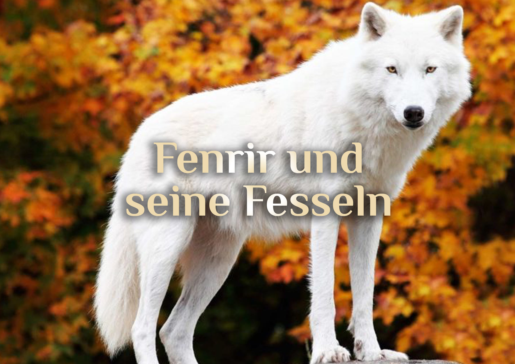 Der Fenriswolf 🐺 Fenrir oder Fenrisúlfr 🐺 Sage der Götterdämmerung