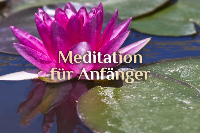 Tipps zur Meditation für Anfänger 🧘🏼 Meditation erlernen 🧘🏻‍♂️ elementare Meditation