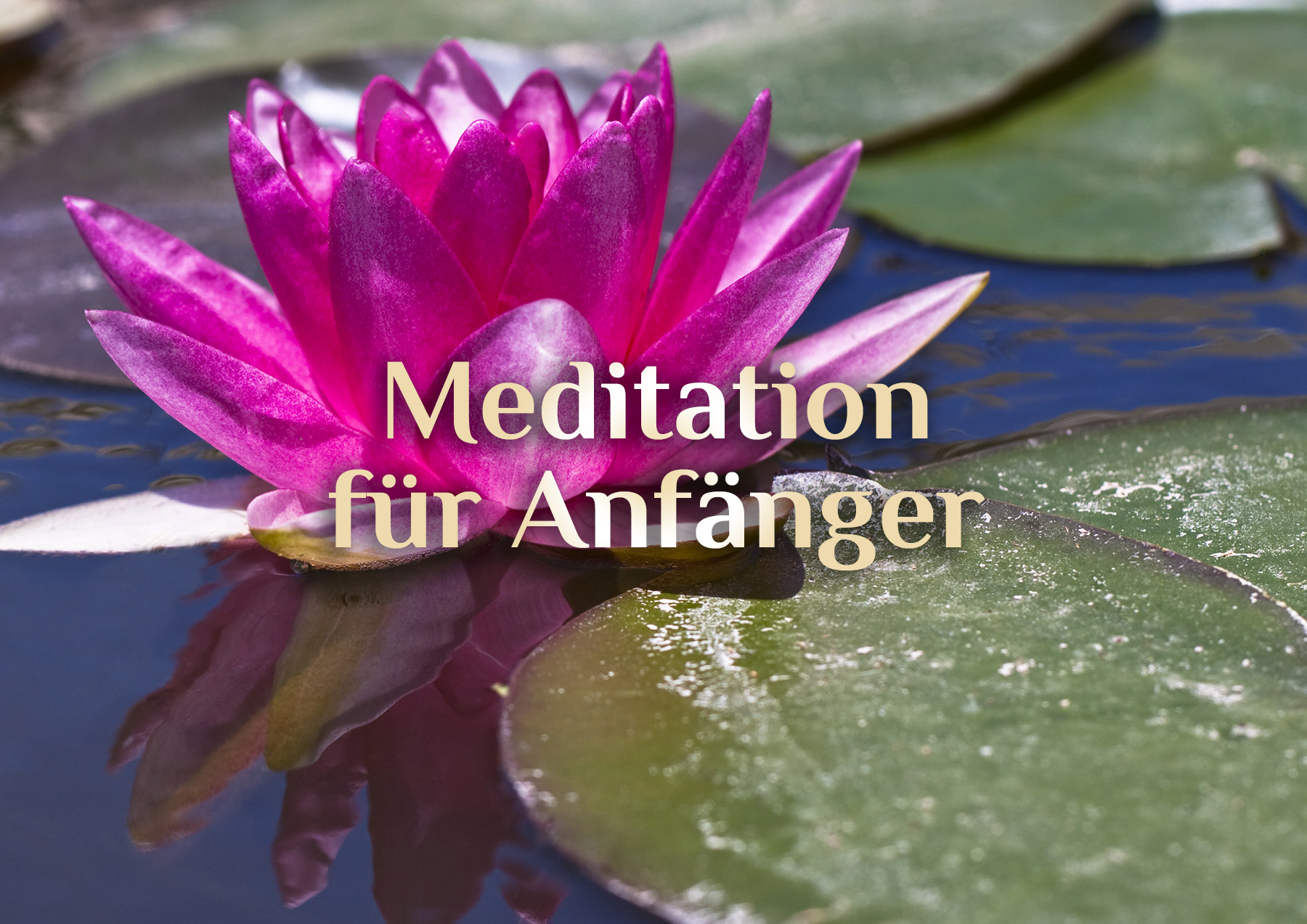 Tipps zur Meditation für Anfänger 🧘🏼 Meditation erlernen 🧘🏻‍♂️ elementare Meditation