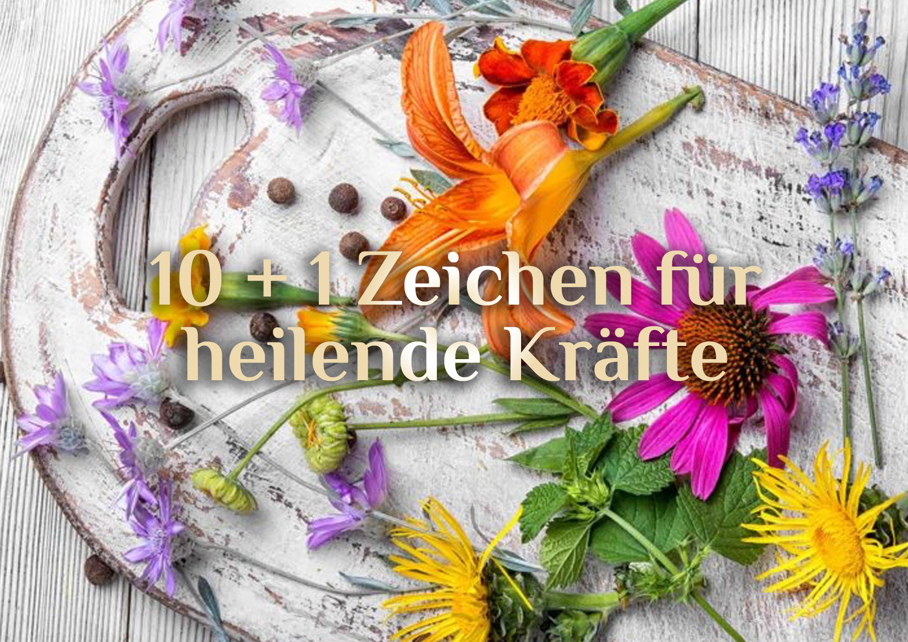 Bist Du ein Heiler / eine Heilerin? ⚕️ 10 + 1 elementare Zeichen für heilende Kräfte⚕️