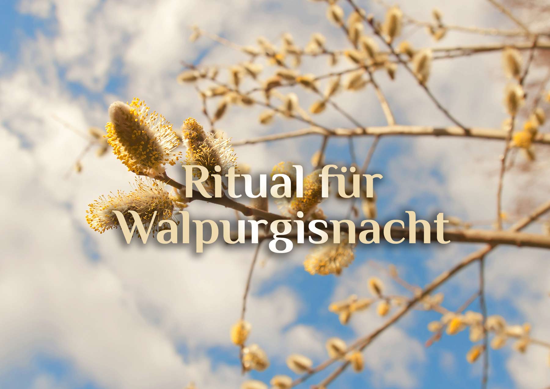 Walpurgispunsch Rezept 🍹 Walpurgisnacht Ritual 💃🏼 Walpurgisnachttänze