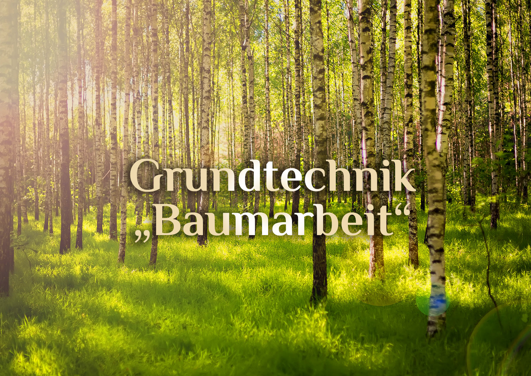 Grundtechniken Baumarbeit 🌳 Basis der Baummedizin 🌲 spirituelle Baumverbindung