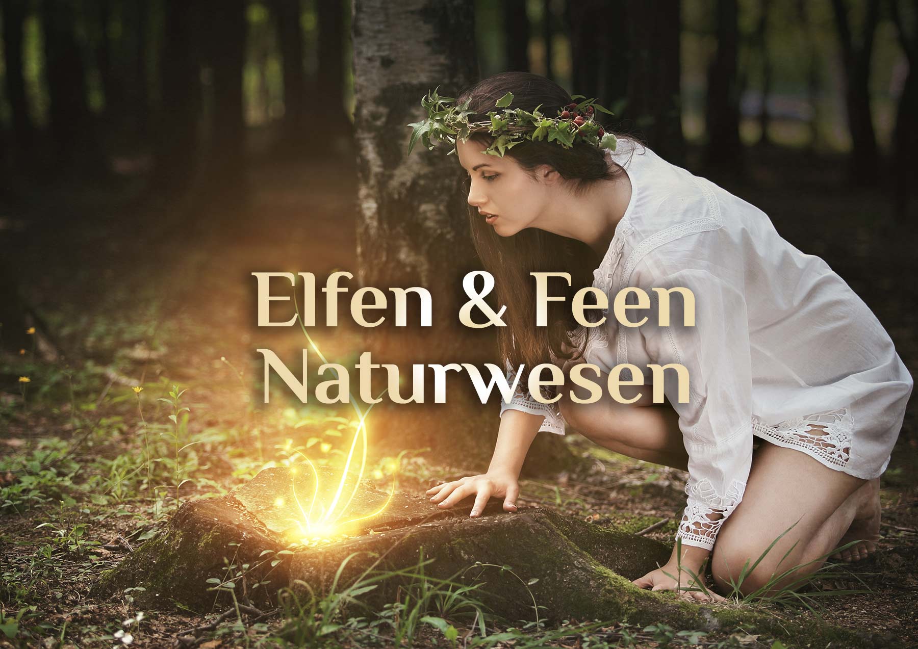 Elfenbeauftragte 🧚‍♂️ | Elfen und Trolle | 🧚‍♀️ Island die Insel der Elfen 🧚‍♂️