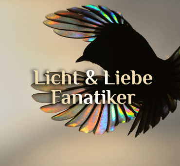 Licht & Liebe Fanatiker ☀️ | Fanatismus des Lichts & der Liebe 💛