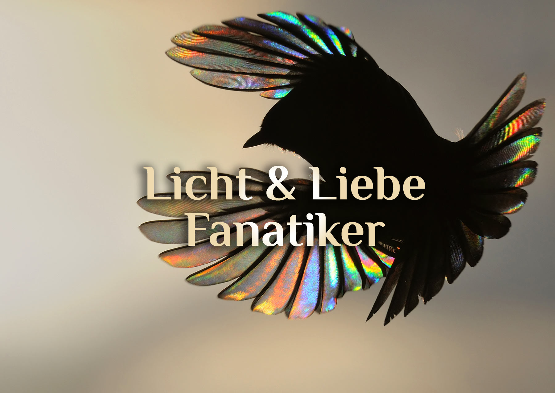 Licht & Liebe Fanatiker ☀️ | Fanatismus des Lichts & der Liebe 💛