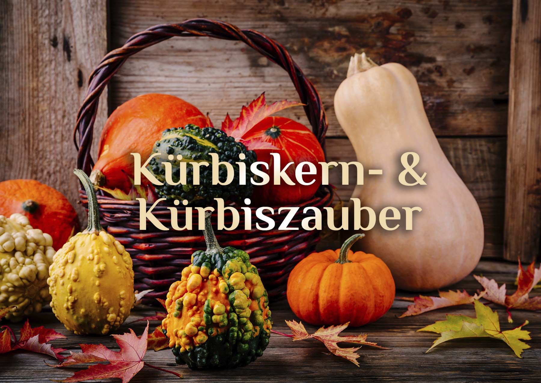 Kürbiszauber  🎃 der magische Kürbis 🎃  Kürbiskern Zauber