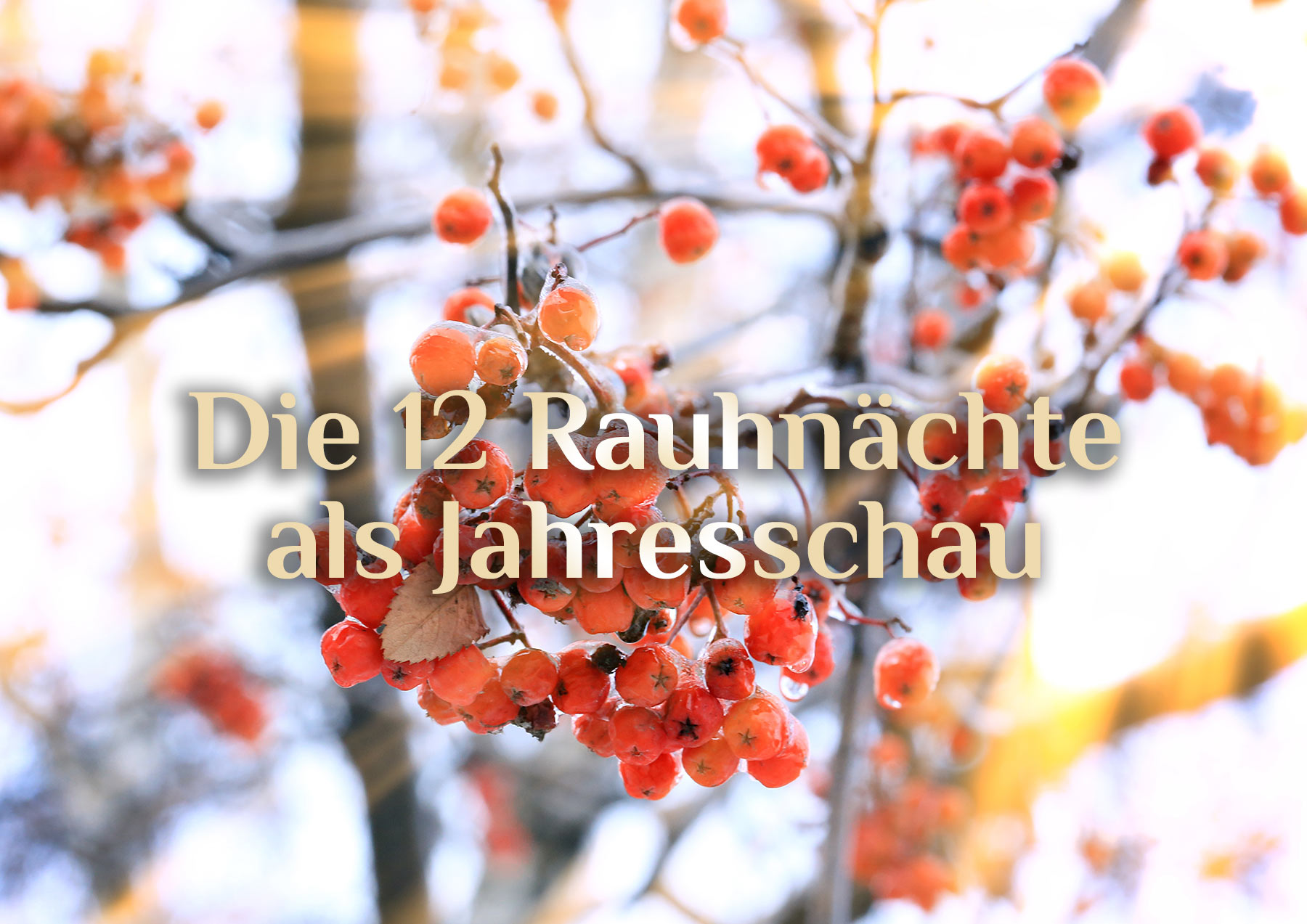 Rauhnächte Jahresschau  ❄️ Die Bedeutung der Rauhnächte ❄️ Räuchnächte Monatsimpulse