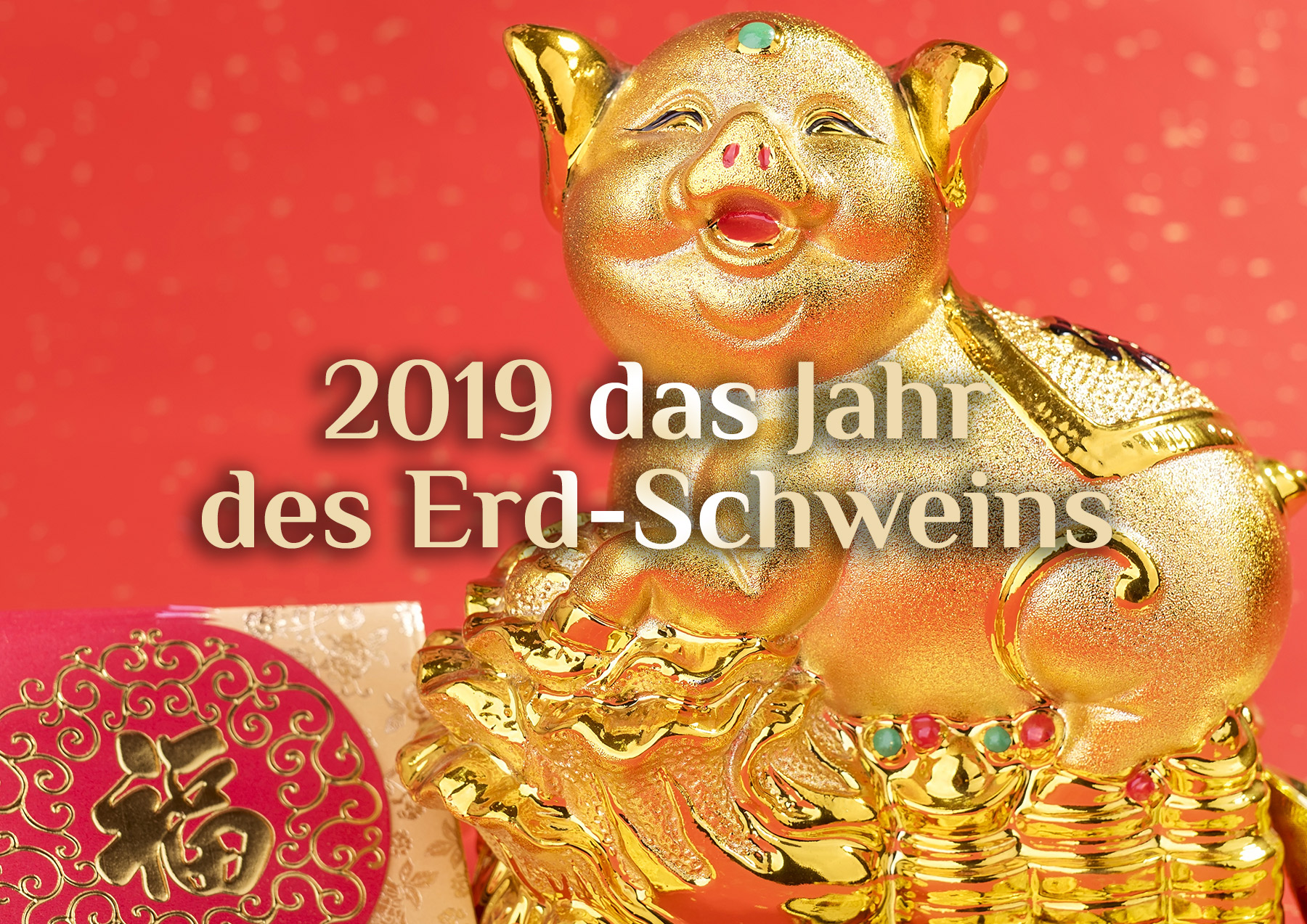 Chinesisches Neujahrsfest 2019 | Dienstag, 5. Februar | Das Jahr des Erd-Schweins 🐷