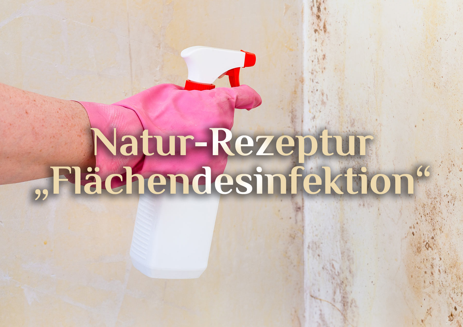 Rezept für Desinfektionsspay ⚗️ Natürliches Oberflächendesinfektionsmittel 🧼 Desinfektionsspray selbst herstellen