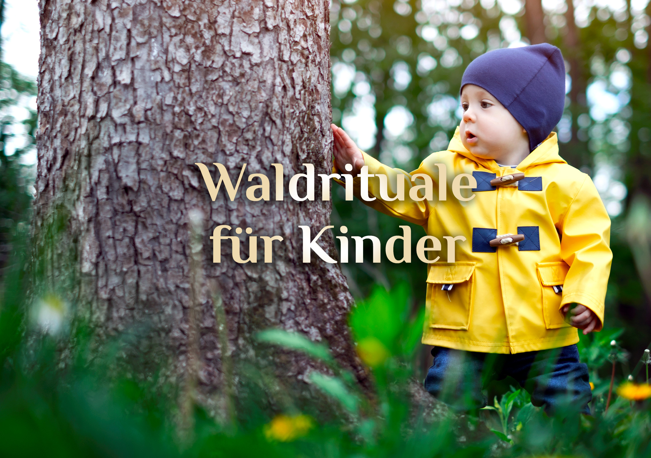 Waldrituale für Kinder 🌳 spiritueller Waldspaziergang 🌲 Spiele im Wald