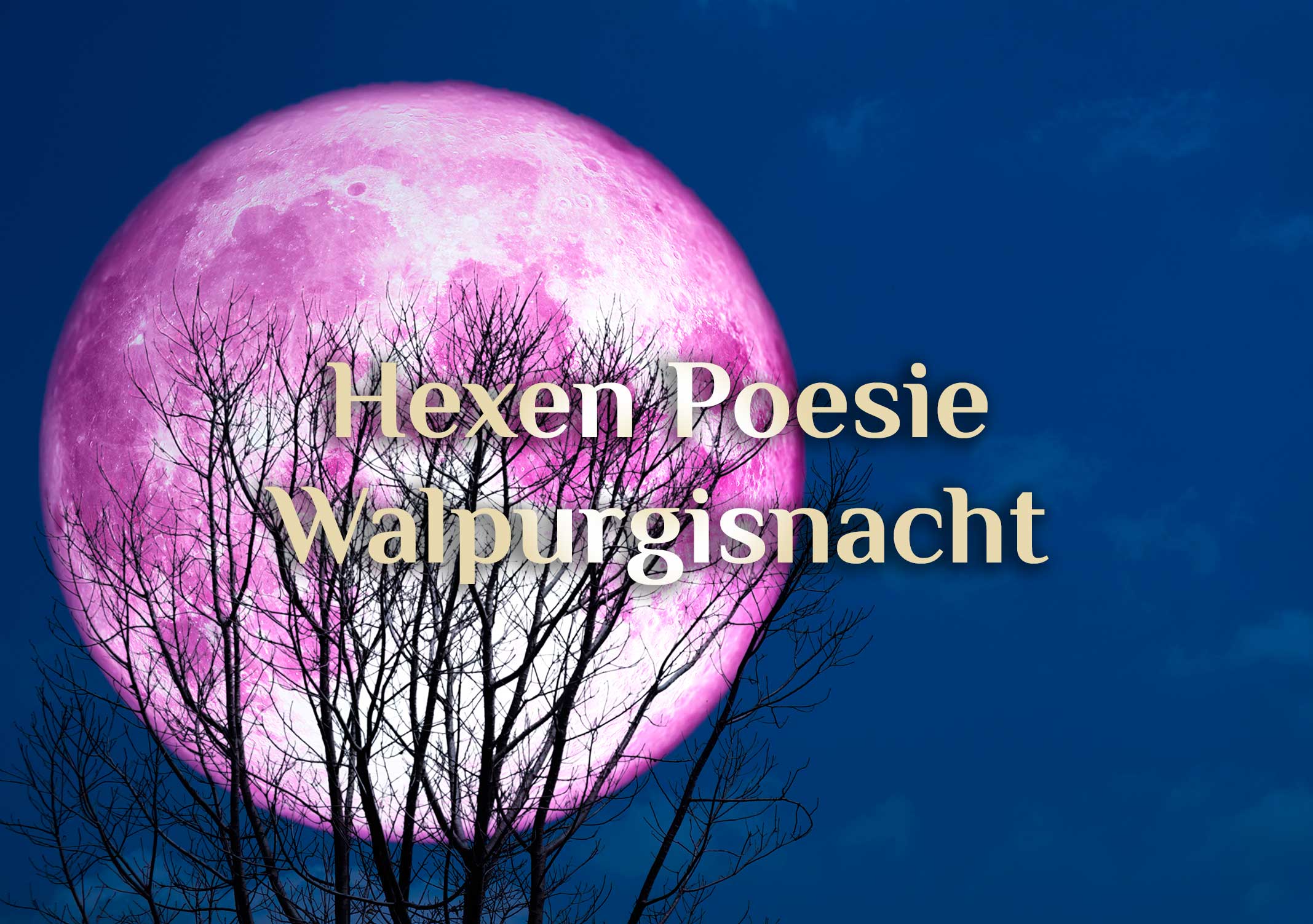 Hexen Poesie 🧹 Des Hexers Walpurgisnacht 🧹 Harzer Hexer