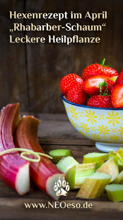 Rhabarber Schaum 🍧 Heilpflanze Rhabarber 🍧 Rhabarber Rezept - NEOeso ...