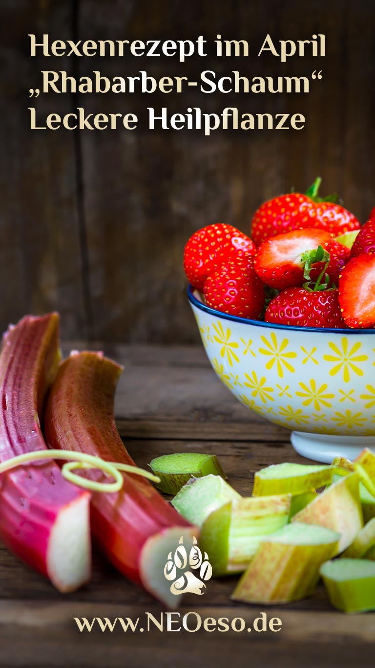 Rhabarber Schaum 🍧 Heilpflanze Rhabarber 🍧 Rhabarber Rezept - NEOeso ...