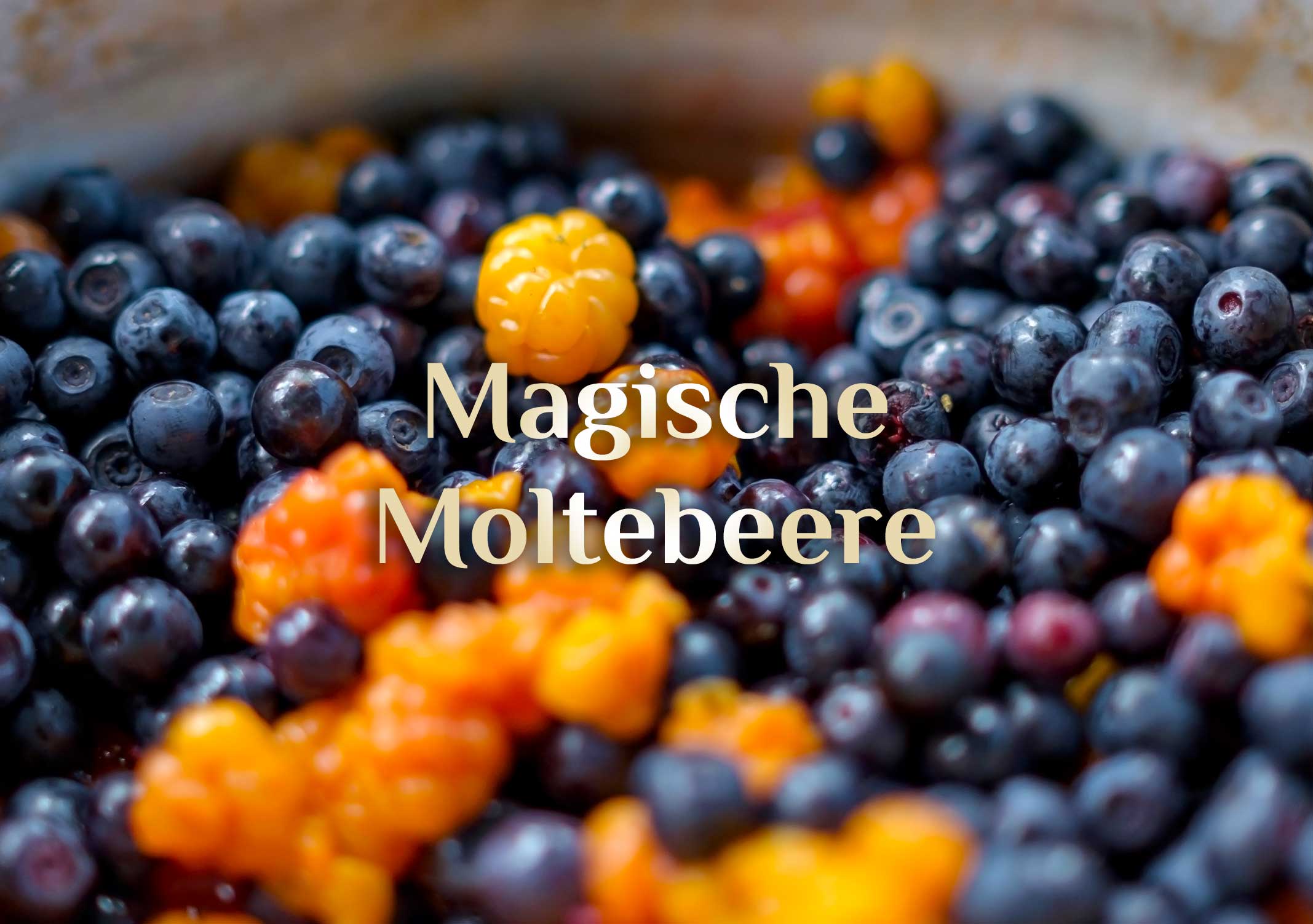 Magische Moltebeere 🍓 Hexenwissen Moltebeere