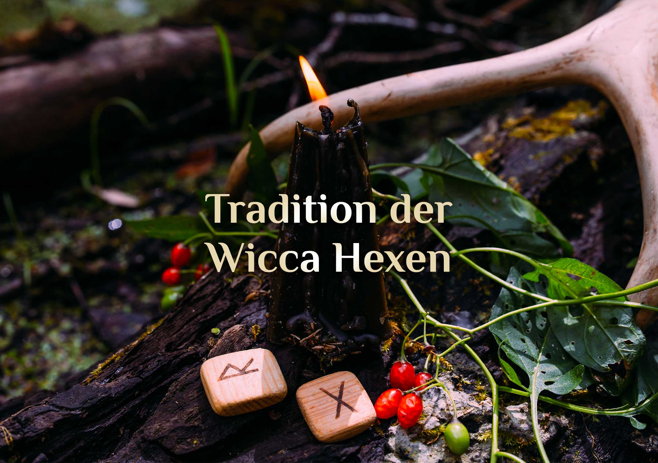 Wicca Witches 🧙🏻‍♀️ Hexen in Deutschland 🧙🏾‍♀️ Wicca Hexen