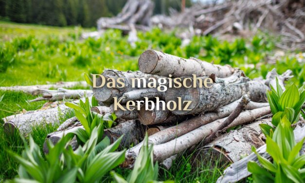 Magisches Kerbholz 📏 Zauber-Zählhölzer 📏 Der Kerbstock