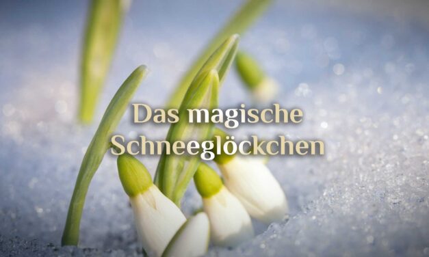 Schneeglöckchen Magie 🌱 galantes Galanthus 🌱 magisches Schneeglöckchen