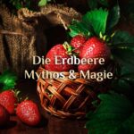 Die magische Erdbeere 🍓 Erdbeeren und Hexerei 🍓 der Zauber der Erdbeere