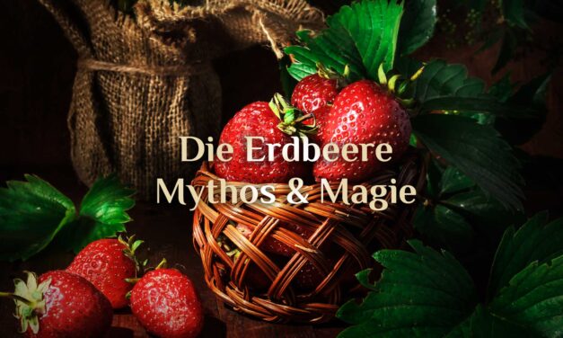 Die magische Erdbeere 🍓 Erdbeeren und Hexerei 🍓 der Zauber der Erdbeere