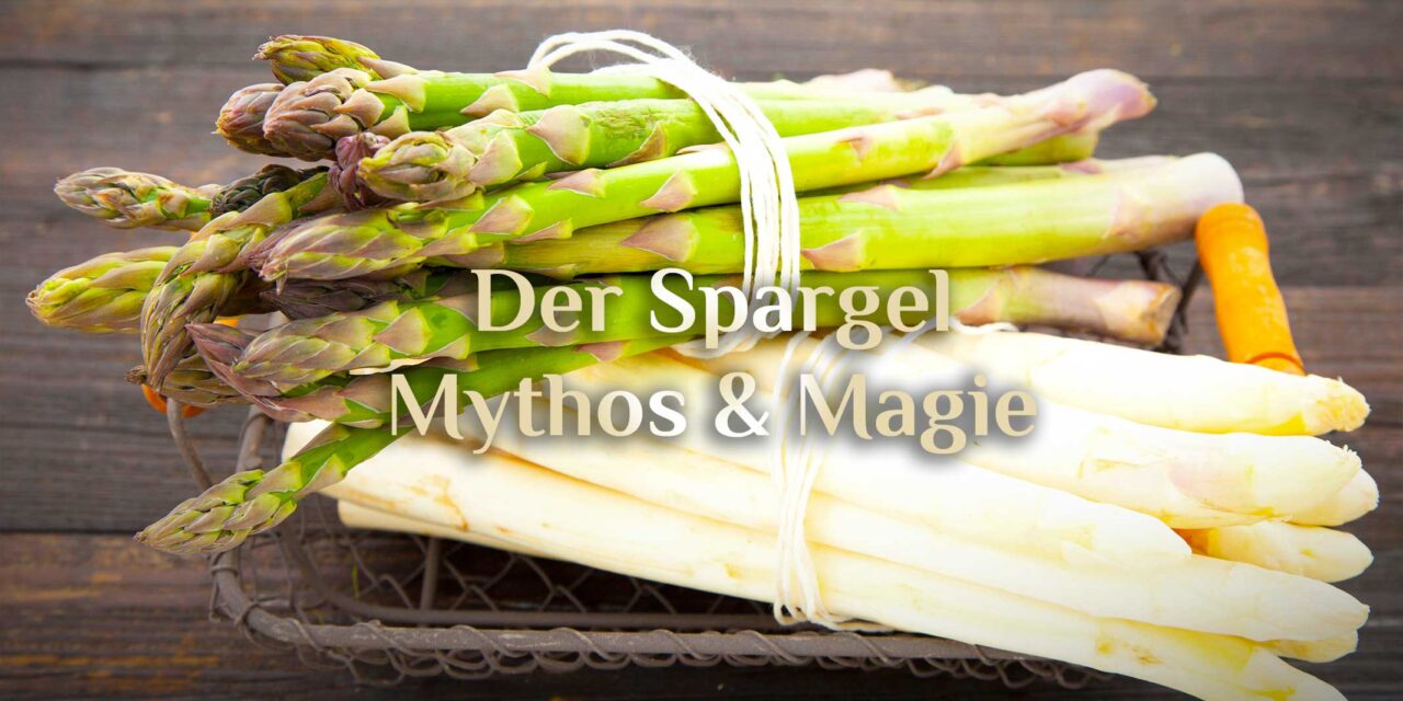 Die Magie im Spargel 🌱 5 Mythen über Spargel 🌱 Spargel und Hexerei