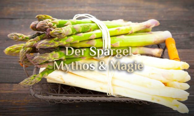 Die Magie im Spargel 🌱 5 Mythen über Spargel 🌱 Spargel und Hexerei